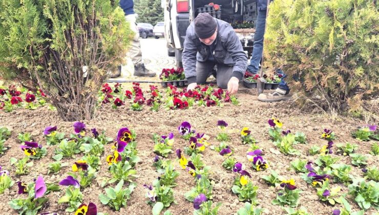 TÜ kampüslerine çevre düzenlemesi